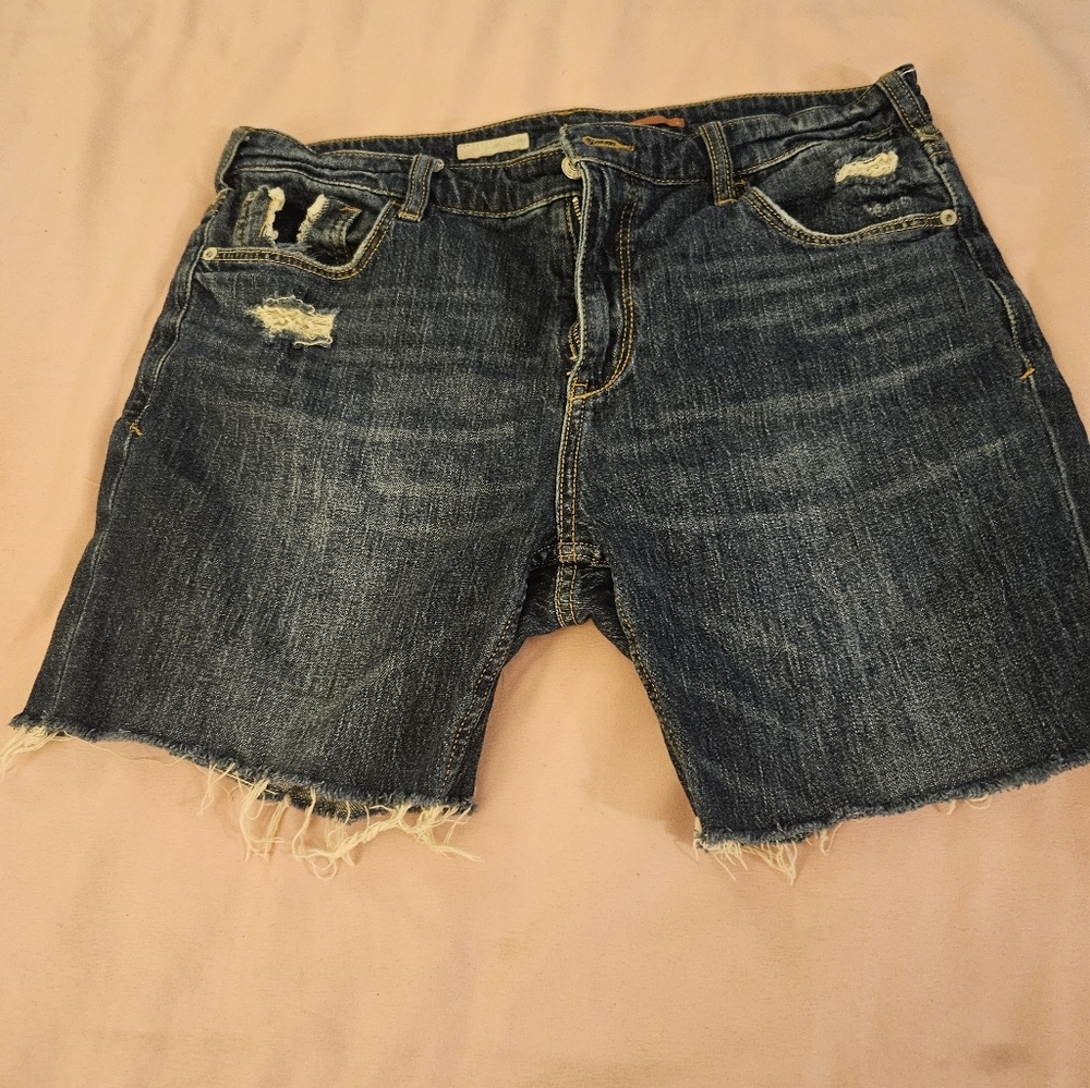 Anthropologie Pilcro  Jean Shorts Stet Mid – Size‎ 29